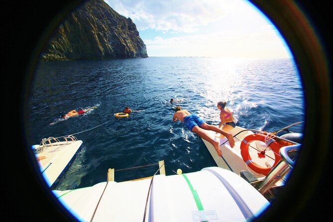 Whale watching and listening Eco-Catamaran Tour with Food Tasting - Sailing strategy: how the 3-hour itinerary actually works