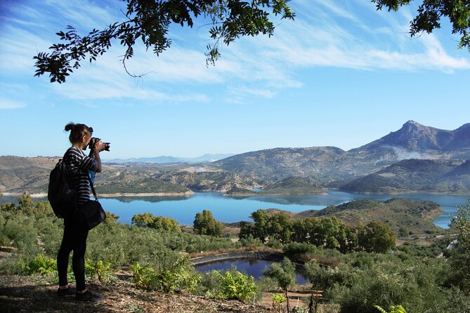 White Villages and Ronda Day Tour from Seville - What the Day Really Feels Like (10 Hours, Not Just a Checklist)