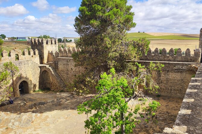 White Villages and Ronda Day Tour from Seville - Walking, Weather, and Comfort: How to Prepare for the Reality of the Mountains